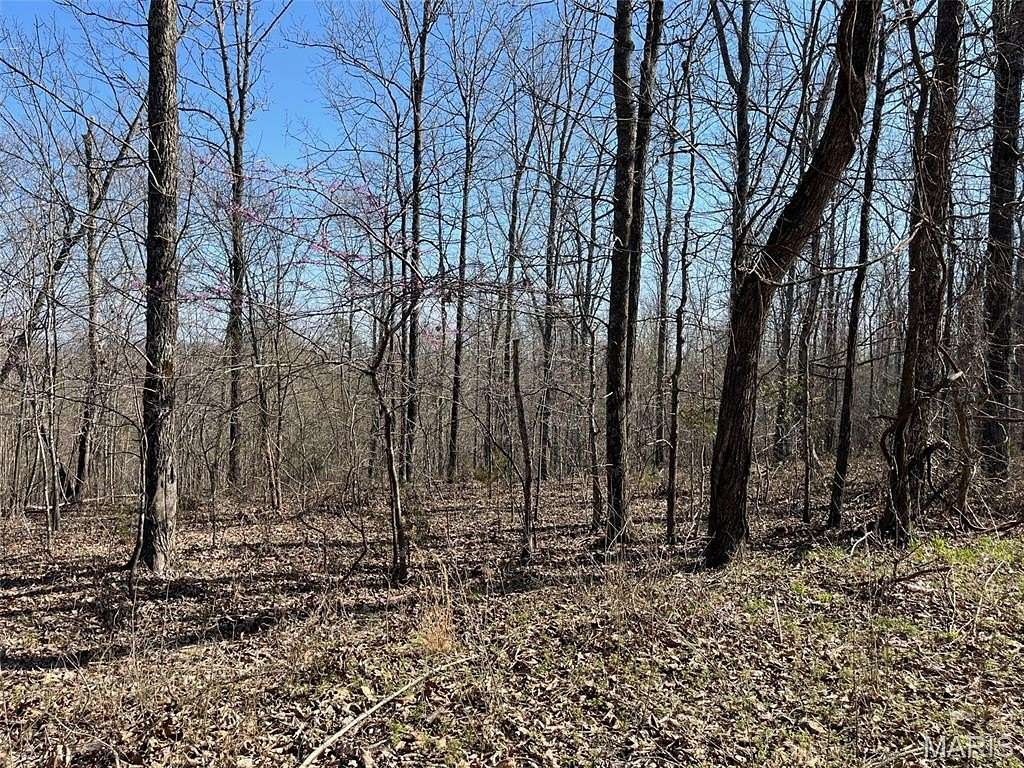 41.5 Acres of Recreational Land for Sale in Silva, Missouri
