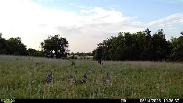 80 Acres of Land for Sale in Crescent, Oklahoma
