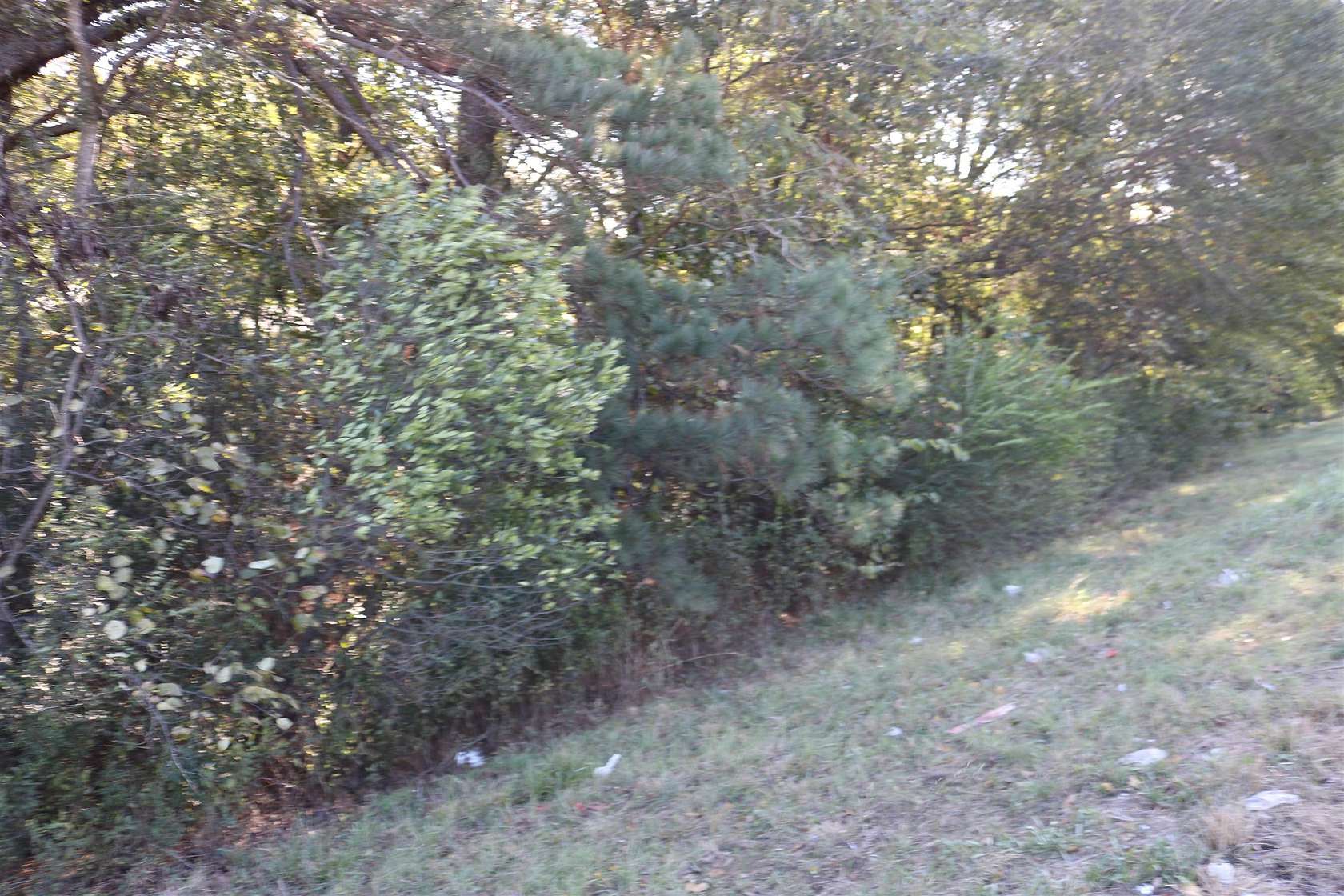 0.48 Acres of Land for Sale in Jefferson, Texas