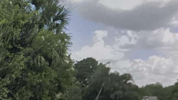 0.23 Acres of Residential Land for Sale in Port Charlotte, Florida