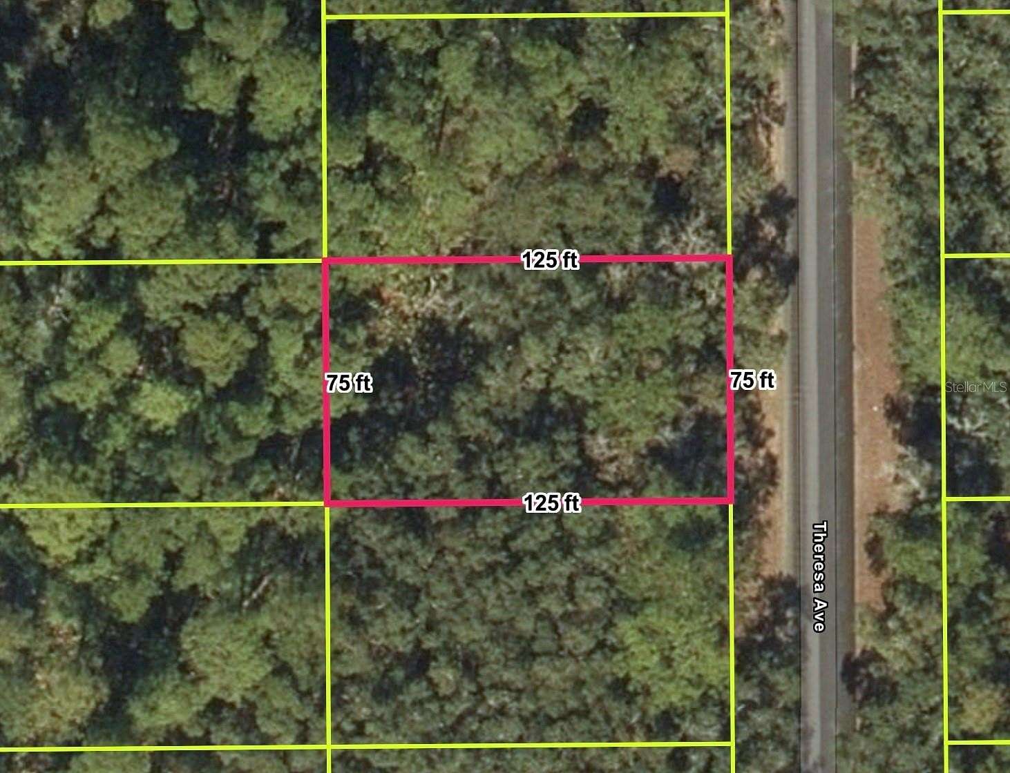 0.22 Acres of Residential Land for Sale in Interlachen, Florida