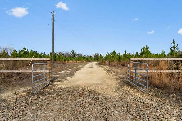 81 Acres of Agricultural Land for Sale in Laurel Hill, Florida
