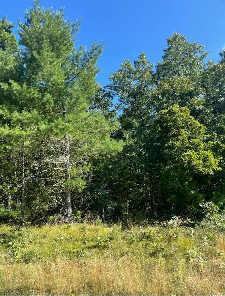 0.92 Acres of Residential Land for Sale in Whitehall, Michigan