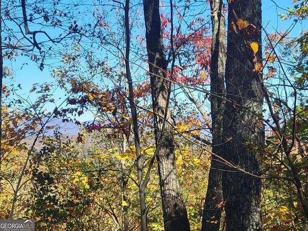 14 Acres of Land for Sale in Ellijay, Georgia