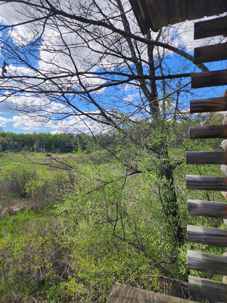 4.8 Acres of Residential Land for Sale in Ceresco, Michigan