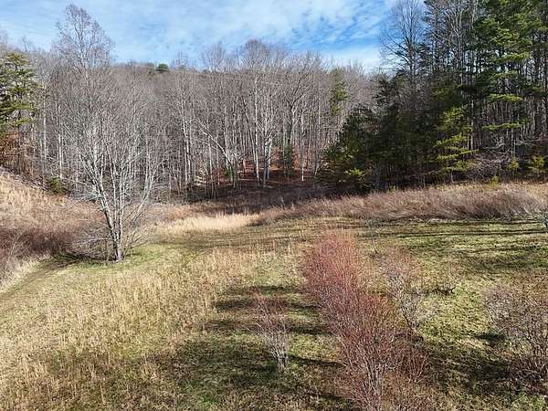 2 Acres of Residential Land for Sale in Blairsville, Georgia