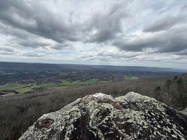 15.7 Acres of Land for Sale in Rising Fawn, Georgia