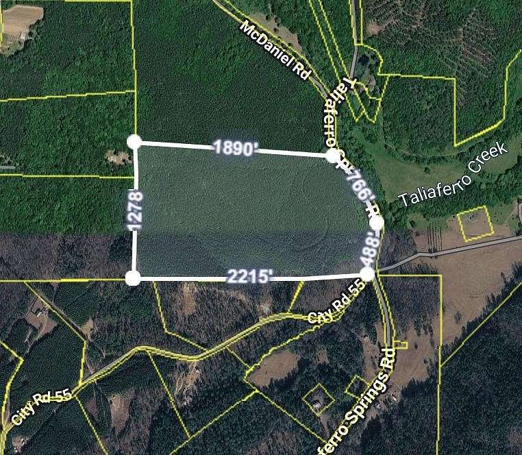 60 Acres of Recreational Land for Sale in Lyerly, Georgia