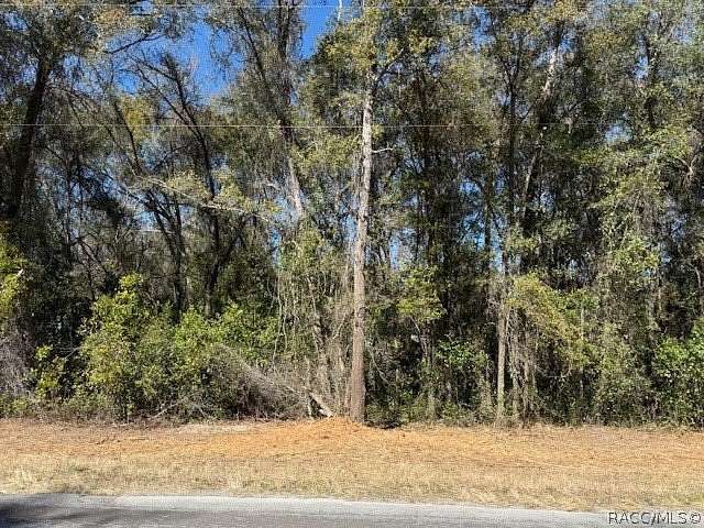 0.21 Acres of Land for Sale in Hernando, Florida