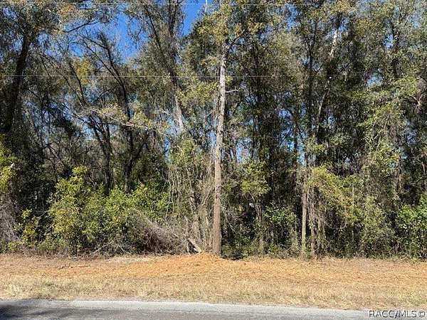 0.21 Acres of Land for Sale in Hernando, Florida