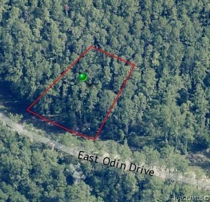 0.37 Acres of Residential Land for Sale in Dunnellon, Florida