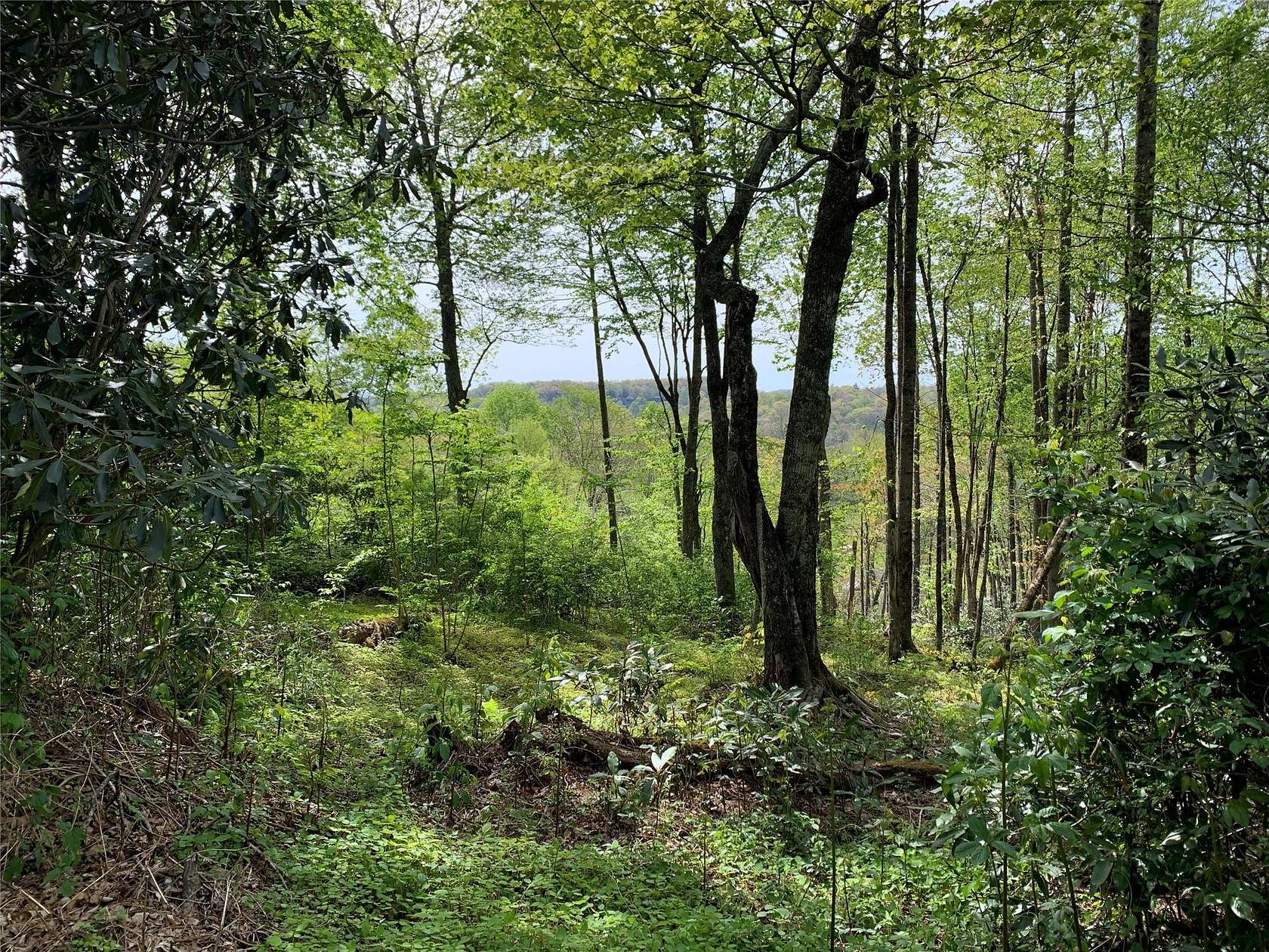 0.83 Acres of Residential Land for Sale in Highlands, North Carolina