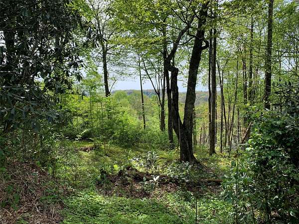 0.83 Acres of Residential Land for Sale in Highlands, North Carolina