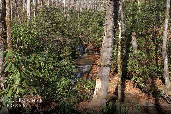 15 Acres of Land for Sale in Cullowhee, North Carolina