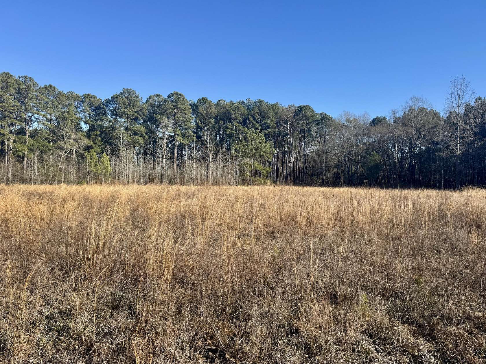 11.8 Acres of Land for Sale in Eastover, South Carolina