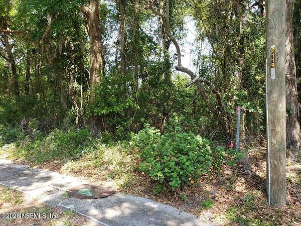 0.14 Acres of Residential Land for Sale in Jacksonville, Florida