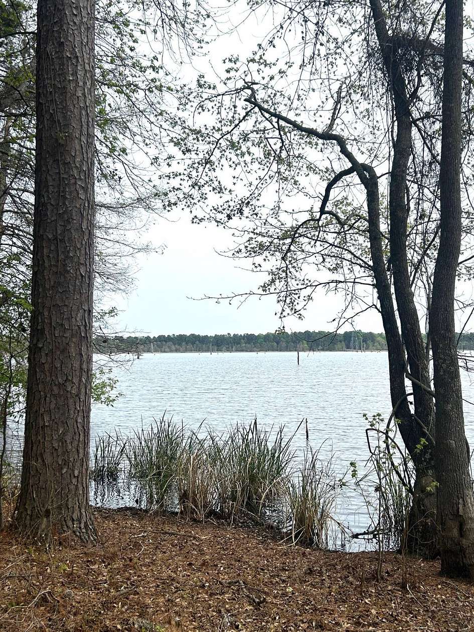 2.44 Acres of Residential Land for Sale in Lewisville, Arkansas