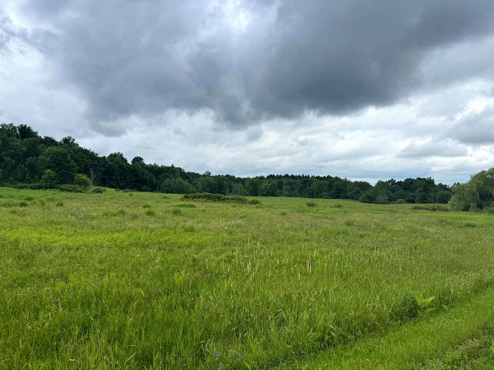 5 Acres of Residential Land for Sale in Antwerp, New York