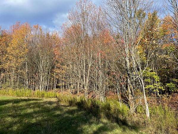 5 Acres of Residential Land for Sale in Antwerp, New York