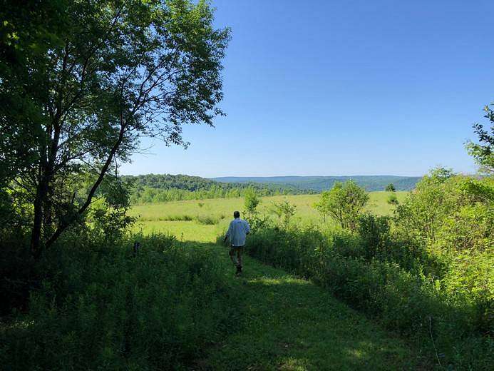17.7 Acres of Recreational Land for Sale in Smyrna, New York