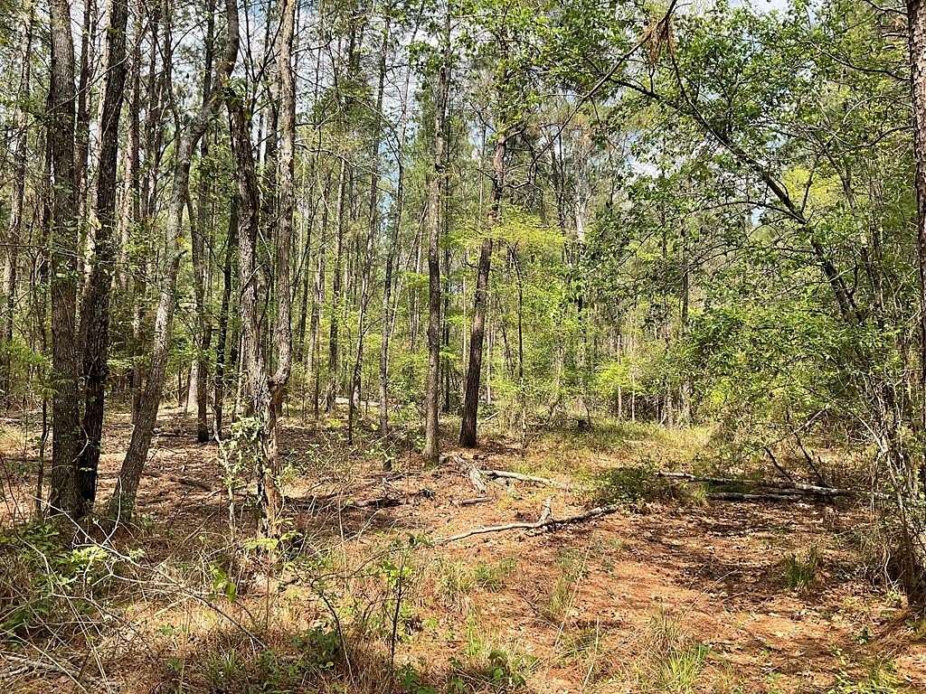 6.23 Acres of Residential Land for Sale in Lufkin, Texas