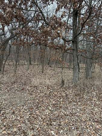 0.95 Acres of Residential Land for Sale in Seneca, Illinois