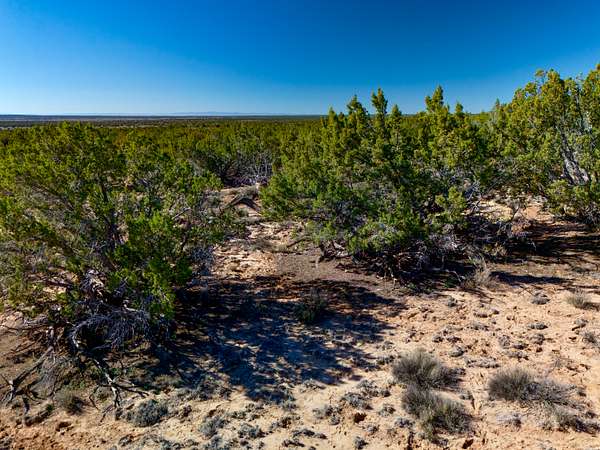 20 Acres of Recreational & Residential Land for Sale in Chambers, Arizona