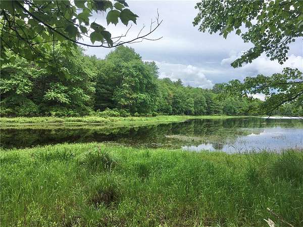 16.8 Acres of Recreational & Residential Land for Sale in Bethel, New York