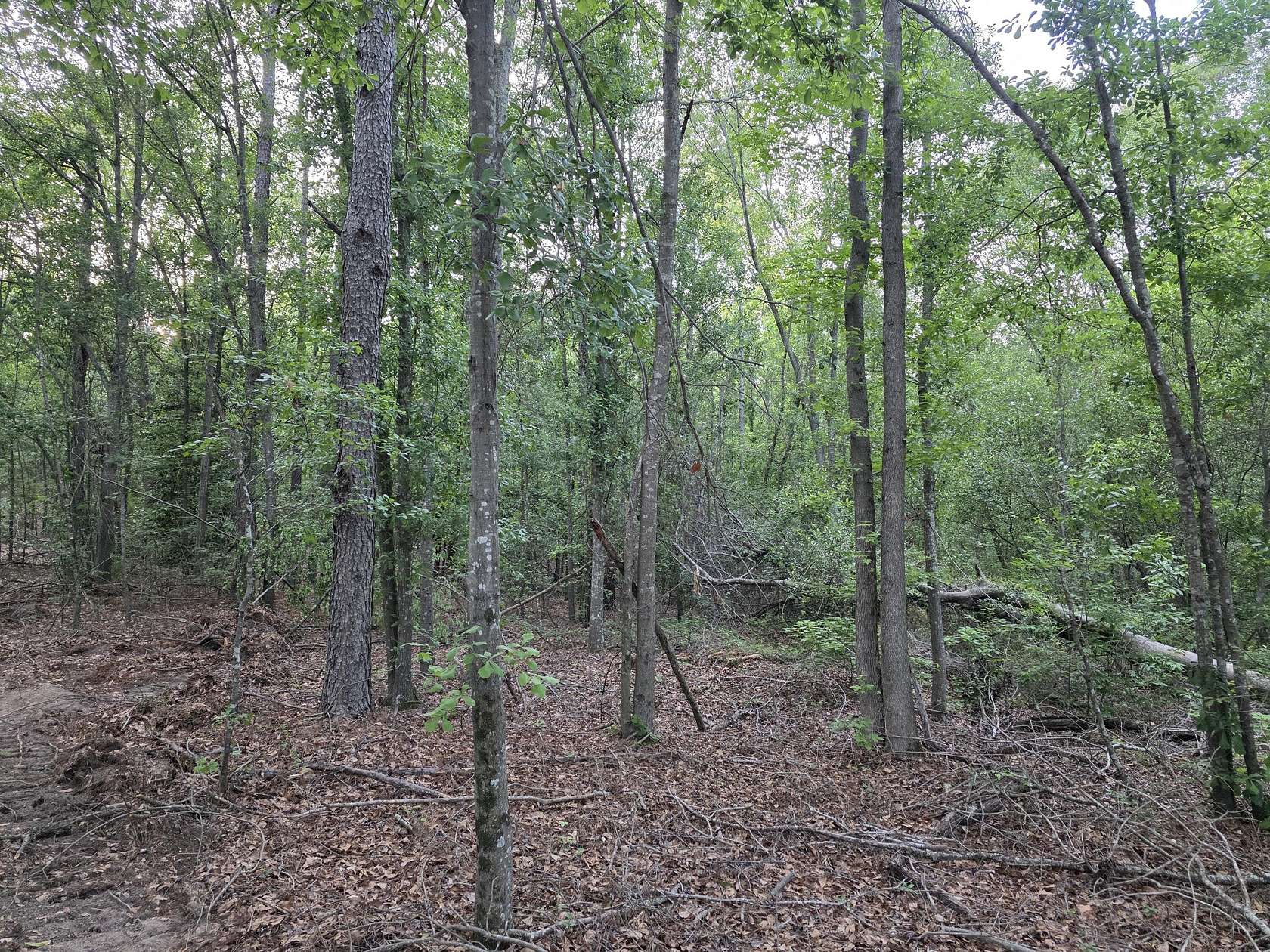 20 Acres of Land for Sale in North Augusta, South Carolina