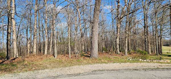0.38 Acres of Residential Land for Sale in Cherokee Village, Arkansas
