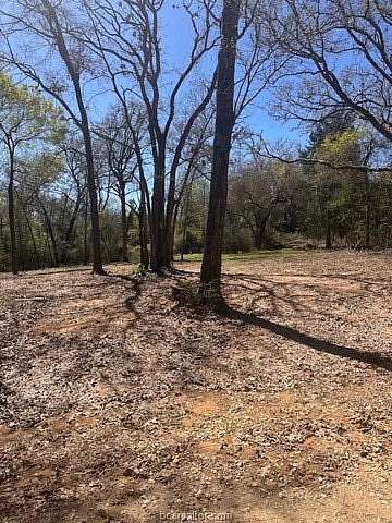 0.27 Acres of Residential Land for Sale in Hilltop Lakes, Texas