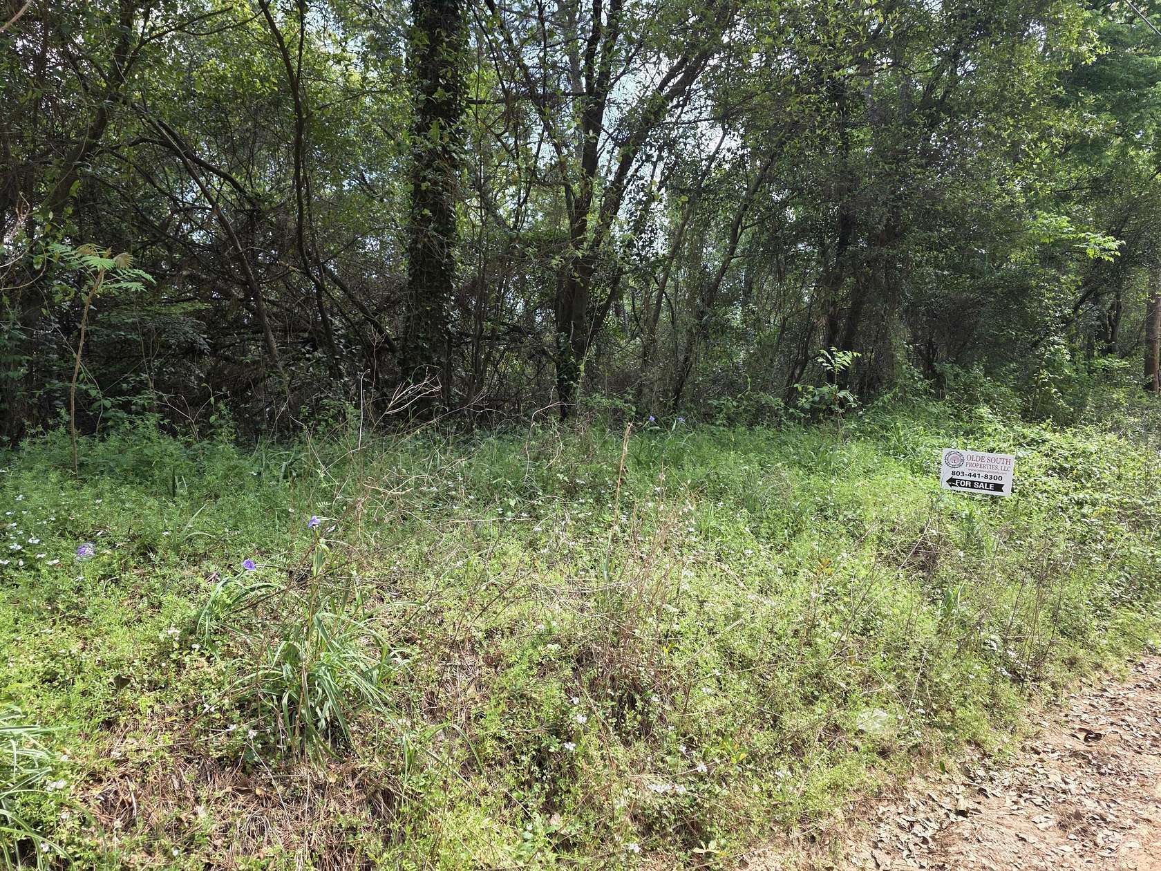 Land for Sale in North Augusta, South Carolina