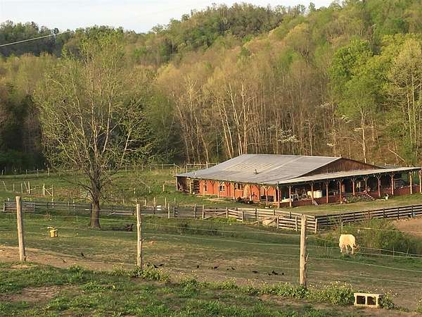 37 Acres of Land for Sale in Burkesville, Kentucky