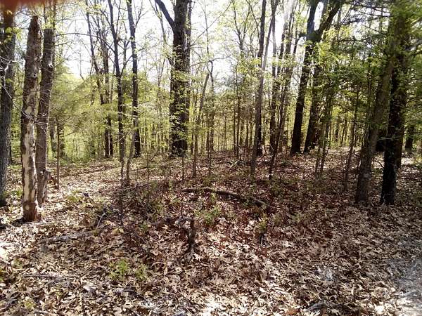 6 Acres of Residential Land for Sale in Ozark, Missouri