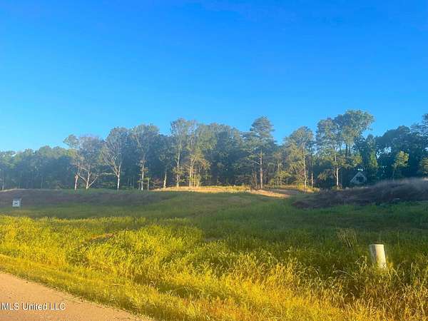 2 Acres of Residential Land for Sale in Hernando, Mississippi