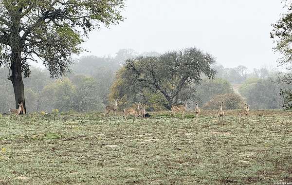 5.7 Acres of Residential Land for Sale in Adkins, Texas