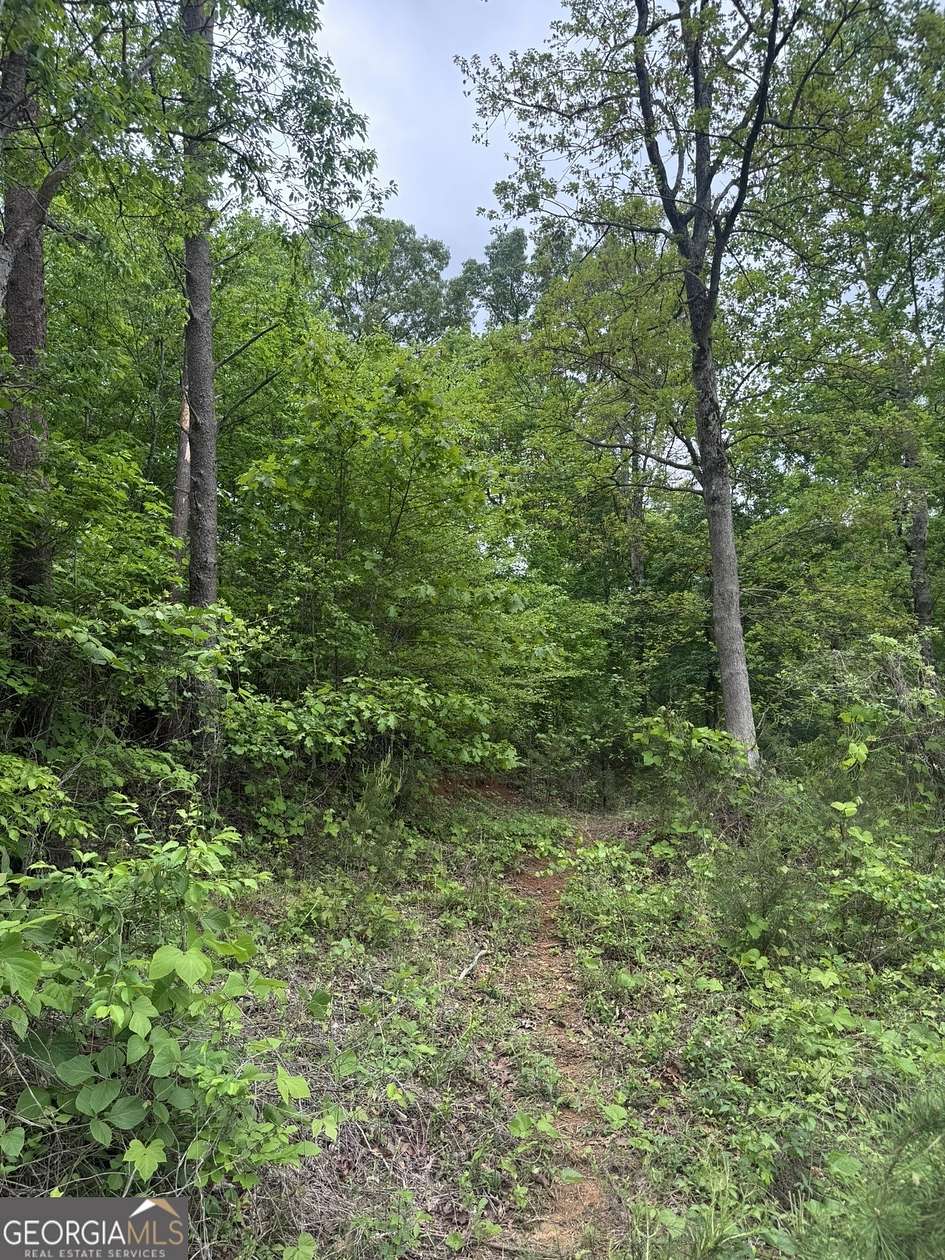 0.25 Acres of Residential Land for Sale in Toccoa, Georgia