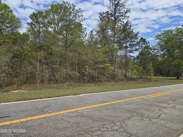 25.2 Acres of Land for Sale in Lizella, Georgia