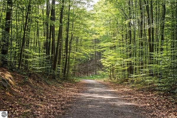 0.4 Acres of Land for Sale in Bellaire, Michigan