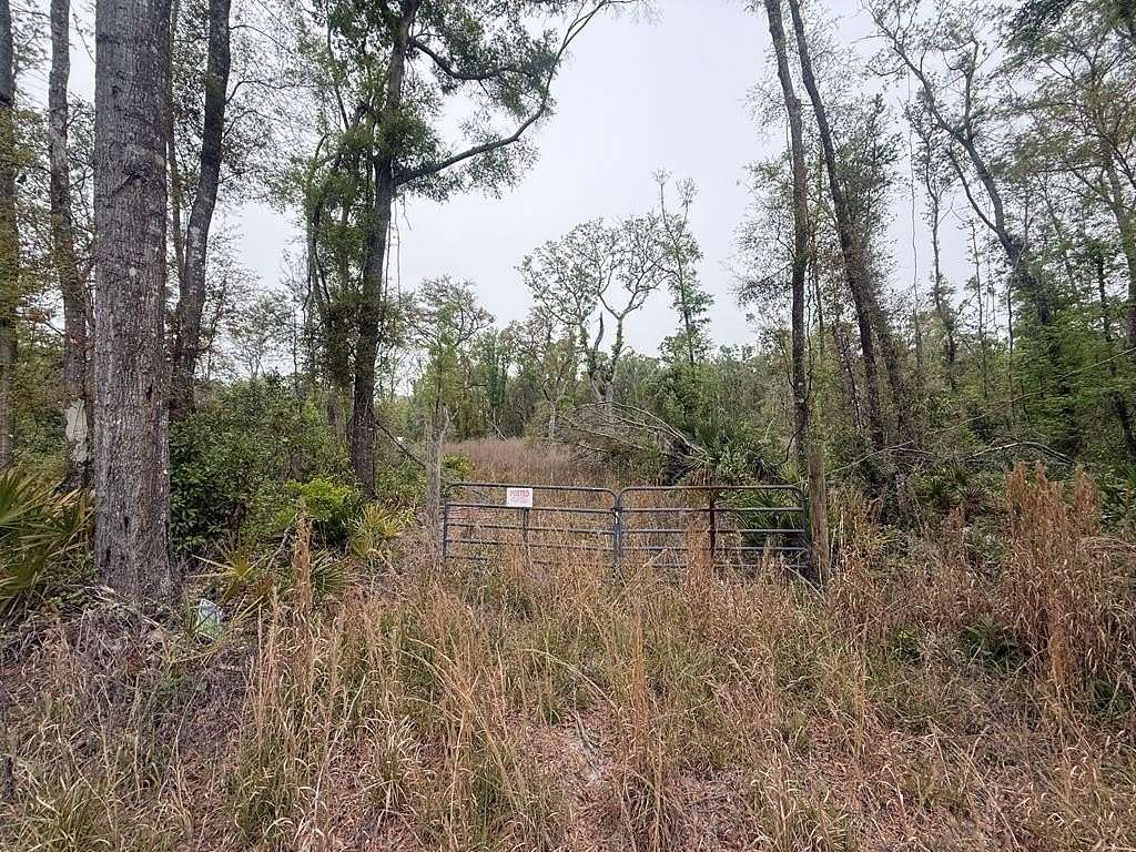 2.5 Acres of Residential Land for Sale in Old Town, Florida