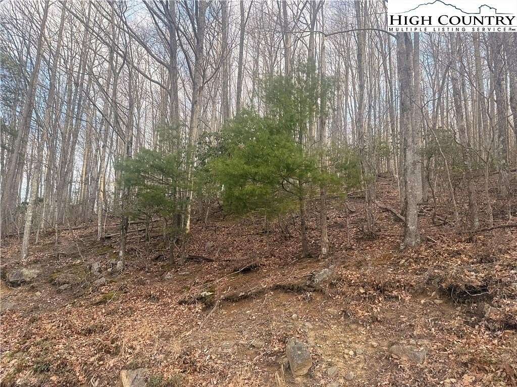 0.32 Acres of Residential Land for Sale in Beech Mountain, North Carolina