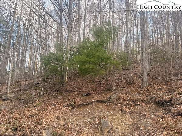0.32 Acres of Residential Land for Sale in Beech Mountain, North Carolina