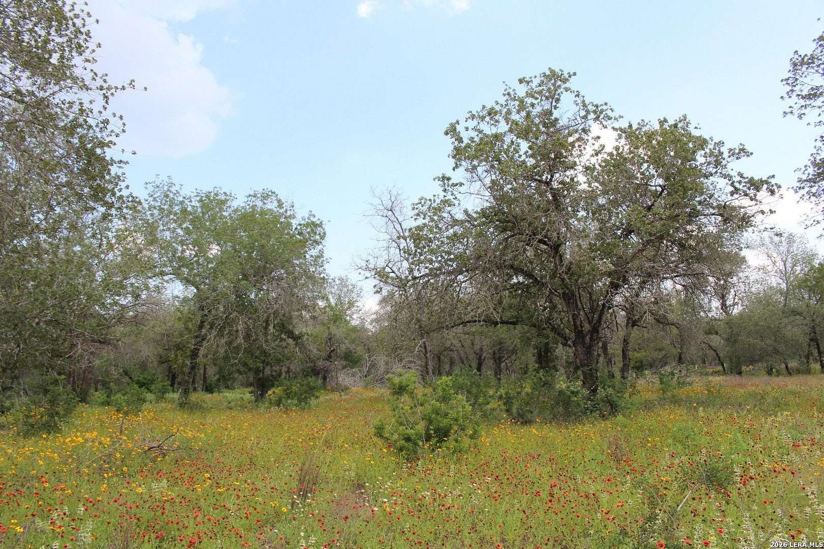 10.7 Acres of Land for Sale in Elmendorf, Texas