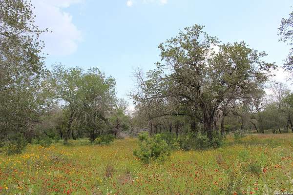 10.7 Acres of Land for Sale in Elmendorf, Texas
