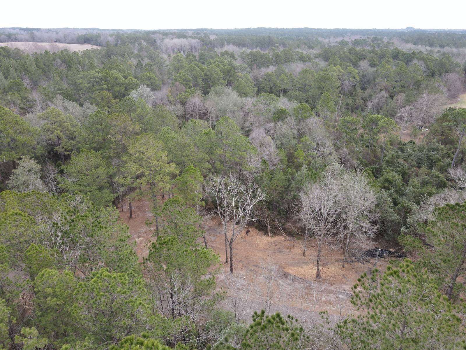 10 Acres of Residential Land for Sale in Sumrall, Mississippi