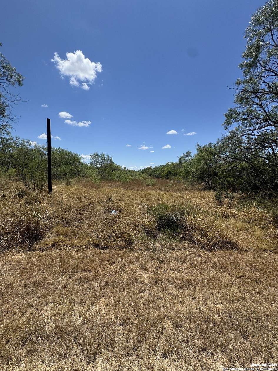 0.32 Acres of Land for Sale in Christine, Texas