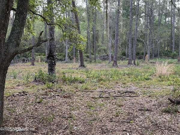 1 Acre of Residential Land for Sale in Satsuma, Florida
