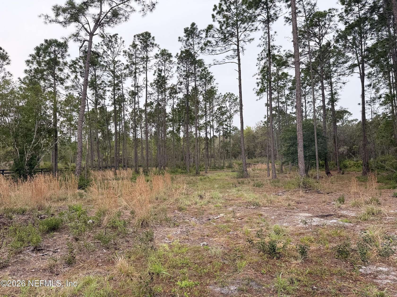 1 Acre of Residential Land for Sale in Satsuma, Florida
