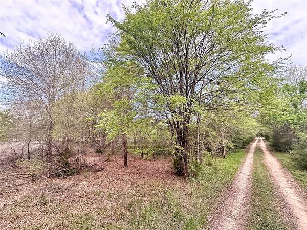 13.2 Acres of Recreational & Residential Land for Sale in Murchison, Texas