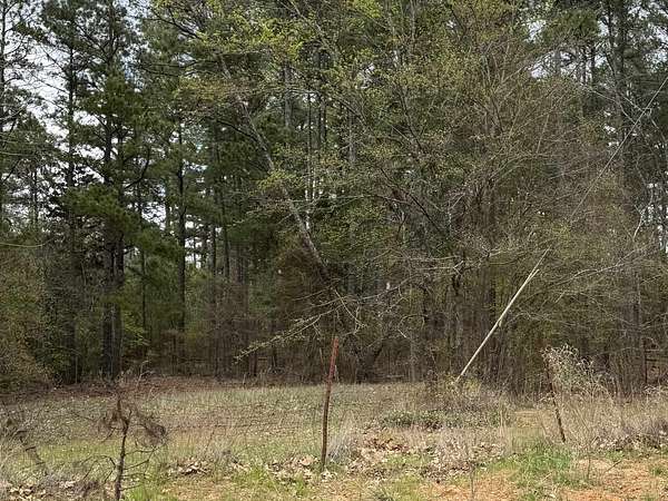 1.52 Acres of Land for Sale in Hallsville, Texas